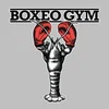 Boxeo Gym